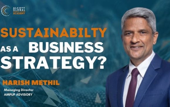 Sustainability as a Business Strategy